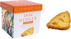 Doc Ginger